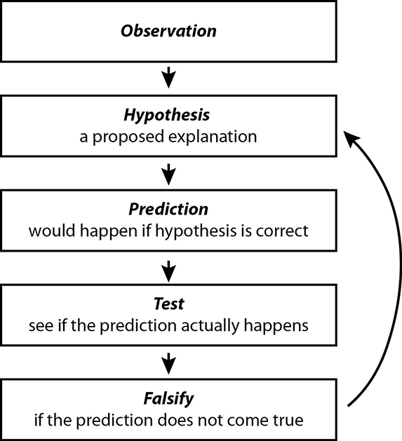 science progress